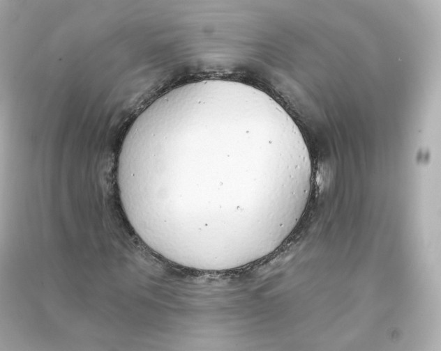 X0000090460867200708102109