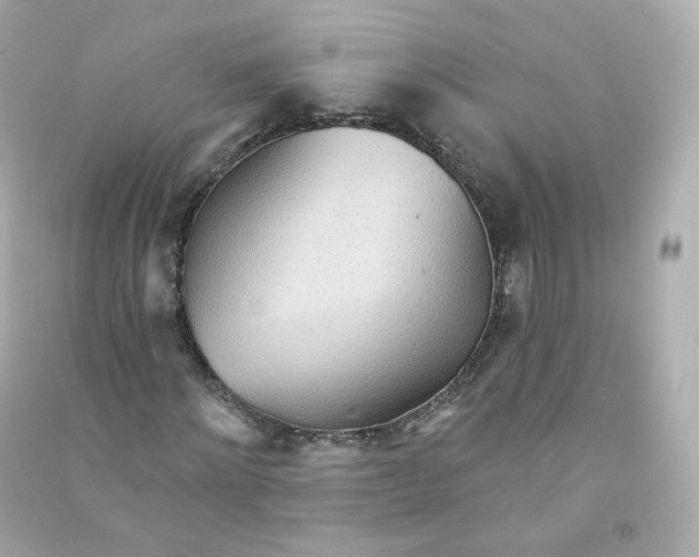 X0000090460868200708102109