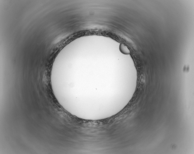 X0000090460869200708102109