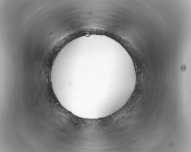 X0000090460870200708102109