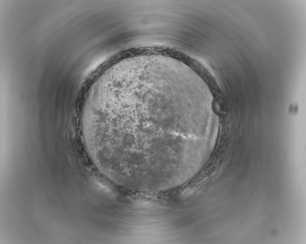 X0000090460871200708102109