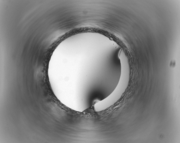 X0000090460872200708102109