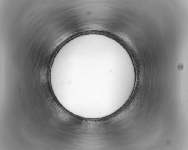 X0000090460873200708102109