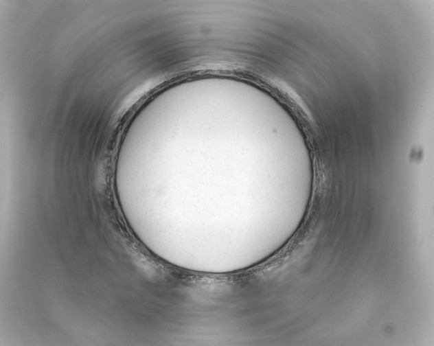 X0000090460874200708102109