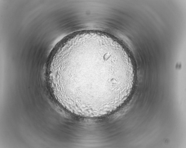 X0000090460875200708102109