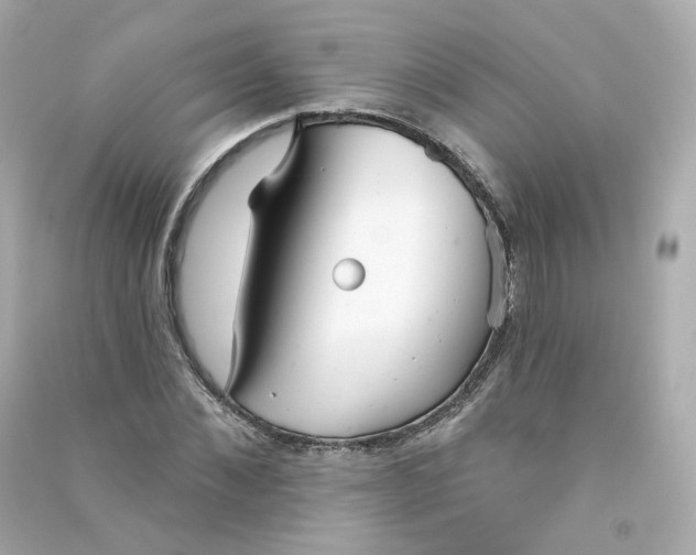 X0000090460876200708102109
