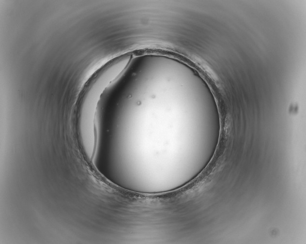X0000090460877200708102109