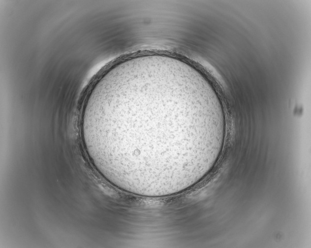 X0000090460878200708102109