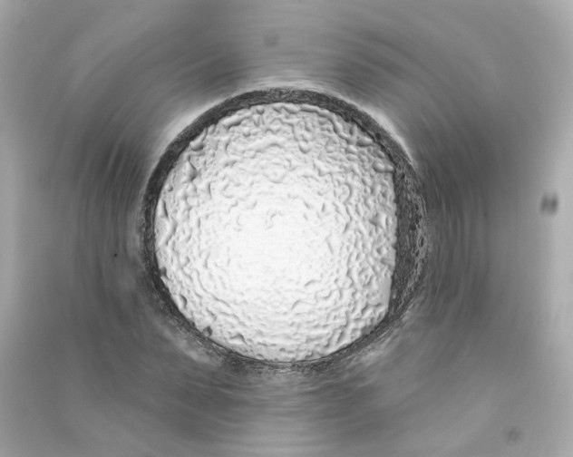 X0000090460879200708102109