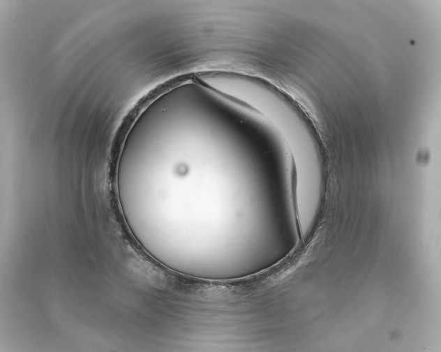 X0000090460880200708102109