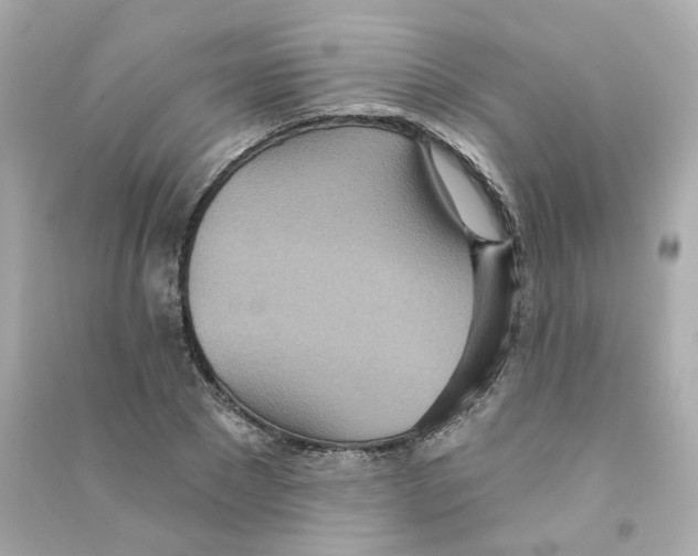 X0000090460881200708102109