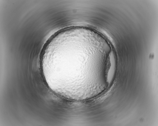X0000090460883200708102109