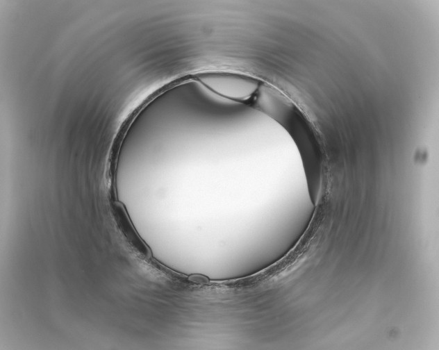 X0000090460885200708102109