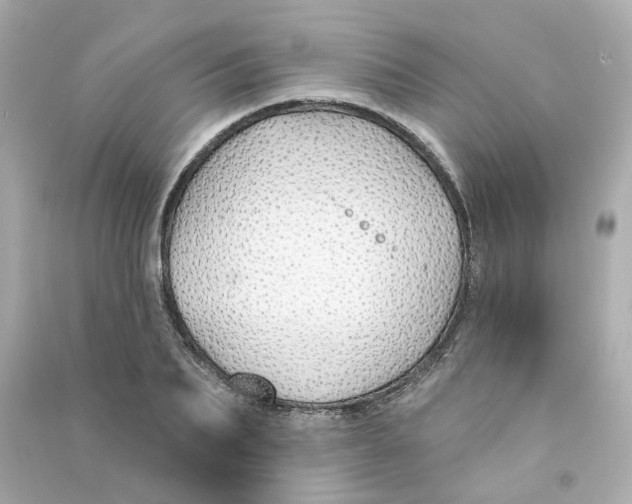 X0000090460887200708102109