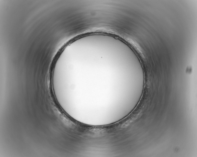 X0000090460888200708102109