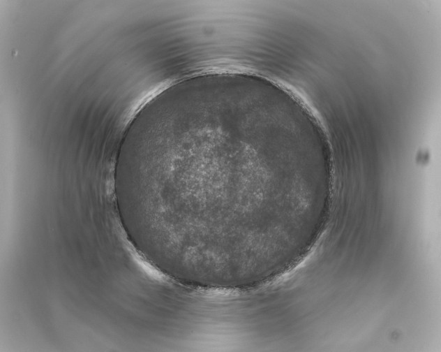 X0000090460889200708102109