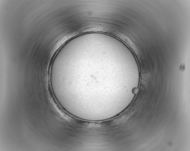 X0000090460890200708102109