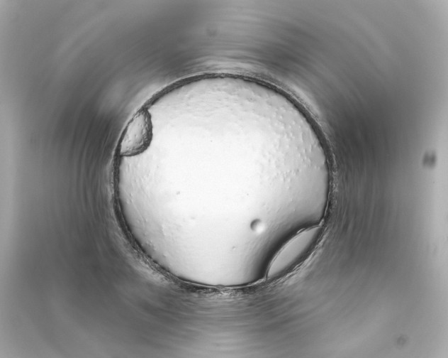 X0000090460891200708102109
