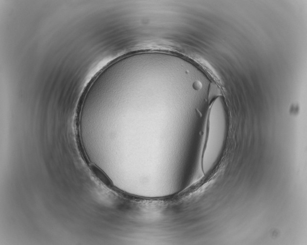 X0000090460893200708102109