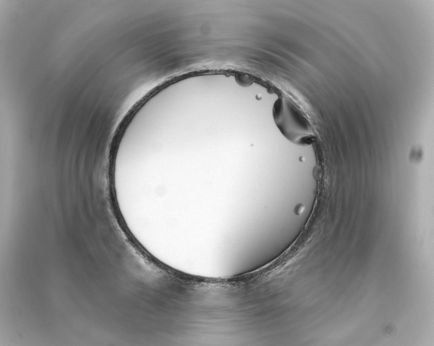 X0000090460894200708102109