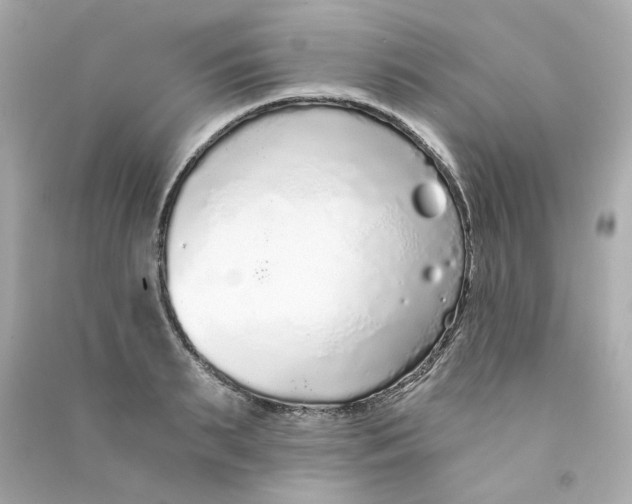 X0000090460895200708102109