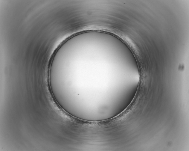 X0000090460896200708102108