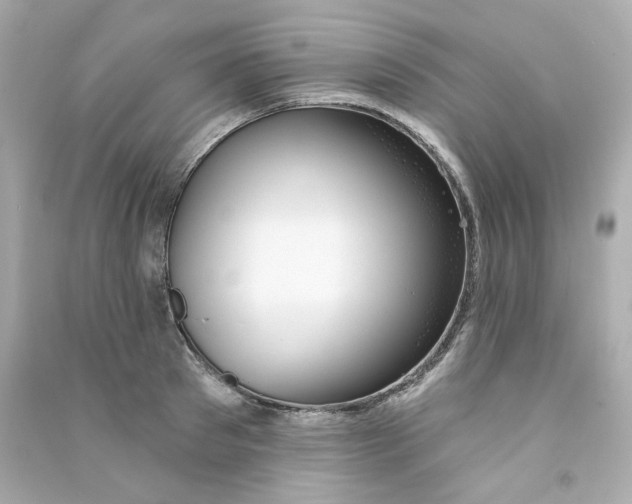 X0000090460897200708102108