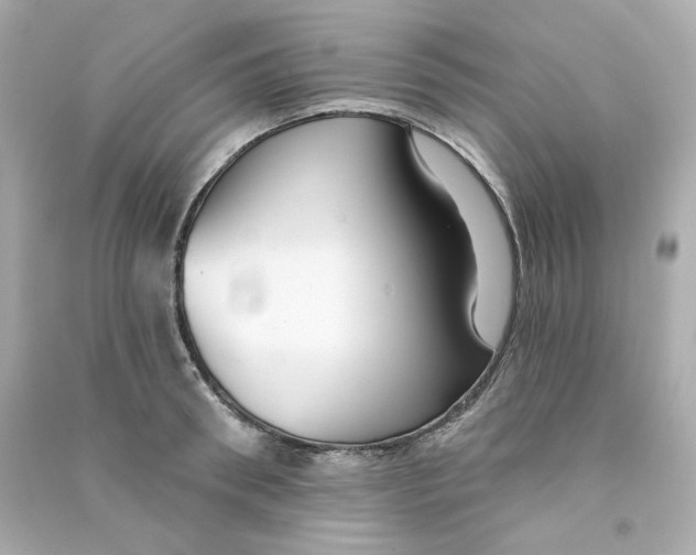X0000090460898200708102108