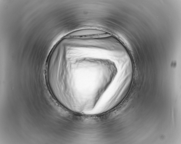 X0000090460899200708102108