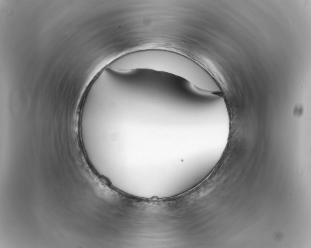 X0000090460900200708102108