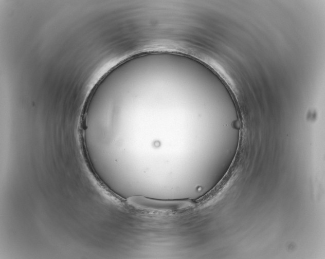 X0000090460901200708102108
