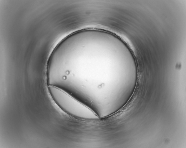 X0000090460903200708102108