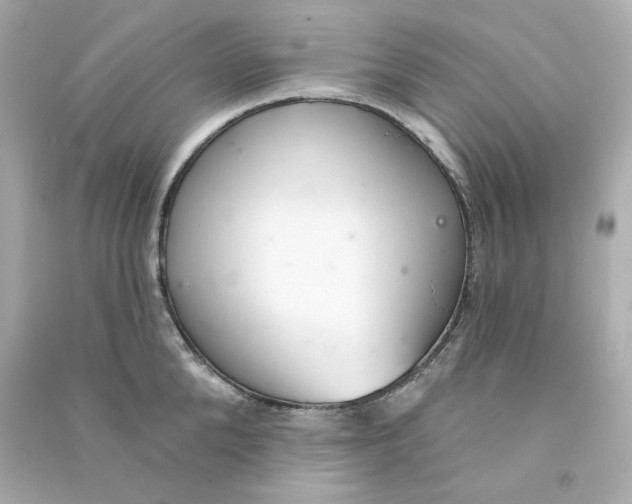 X0000090460904200708102108