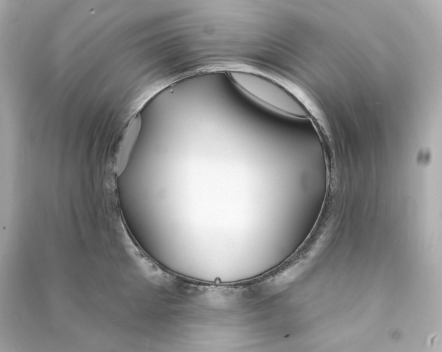 X0000090460905200708102108