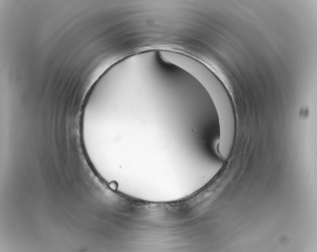 X0000090460906200708102108