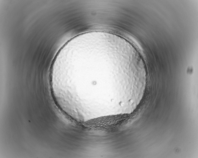 X0000090460907200708102108