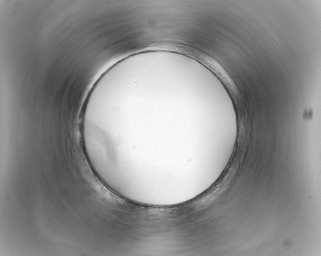 X0000090460908200708102108