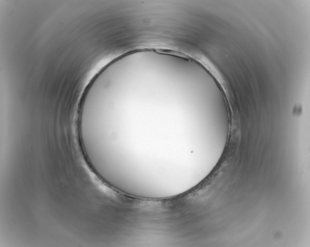 X0000090460909200708102108
