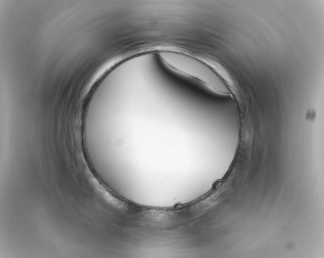 X0000090460910200708102108
