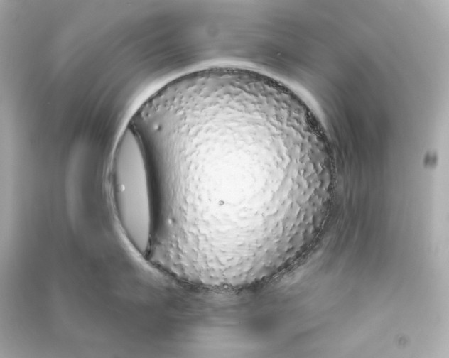 X0000090460911200708102108