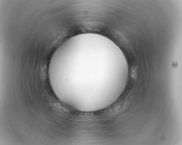X0000090460915200708102108