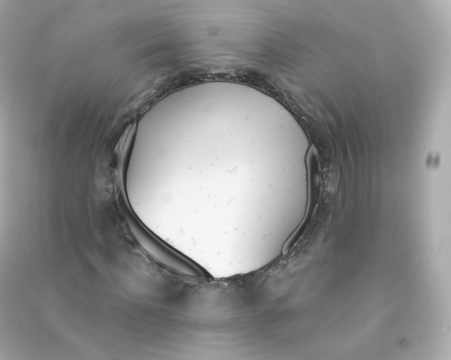 X0000090460916200708102108