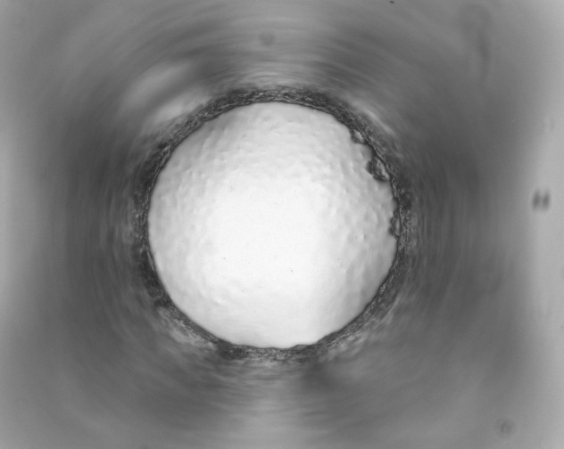 X0000090460917200708102108