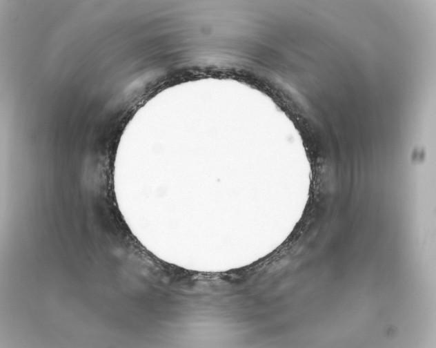 X0000090460918200708102108