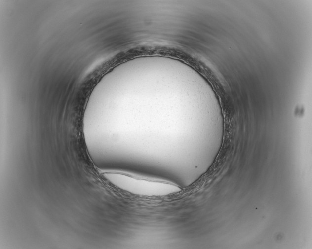 X0000090460919200708102108