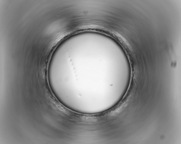 X0000090460921200708102108