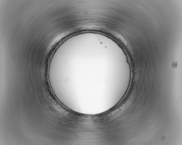 X0000090460922200708102108