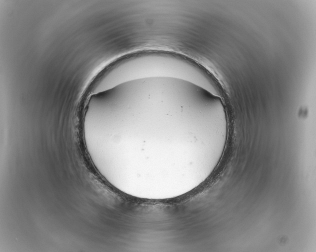 X0000090460926200708102108