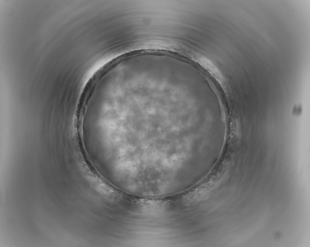 X0000090460928200708102108