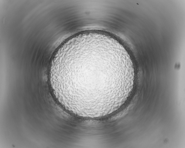 X0000090460929200708102108